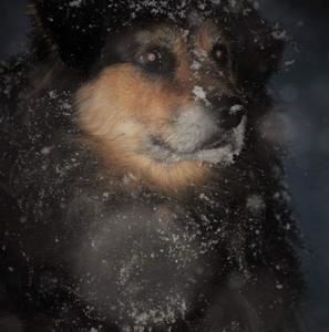 Meet your Posher, Eileen